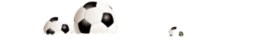 星空体育官网 星空体育官网