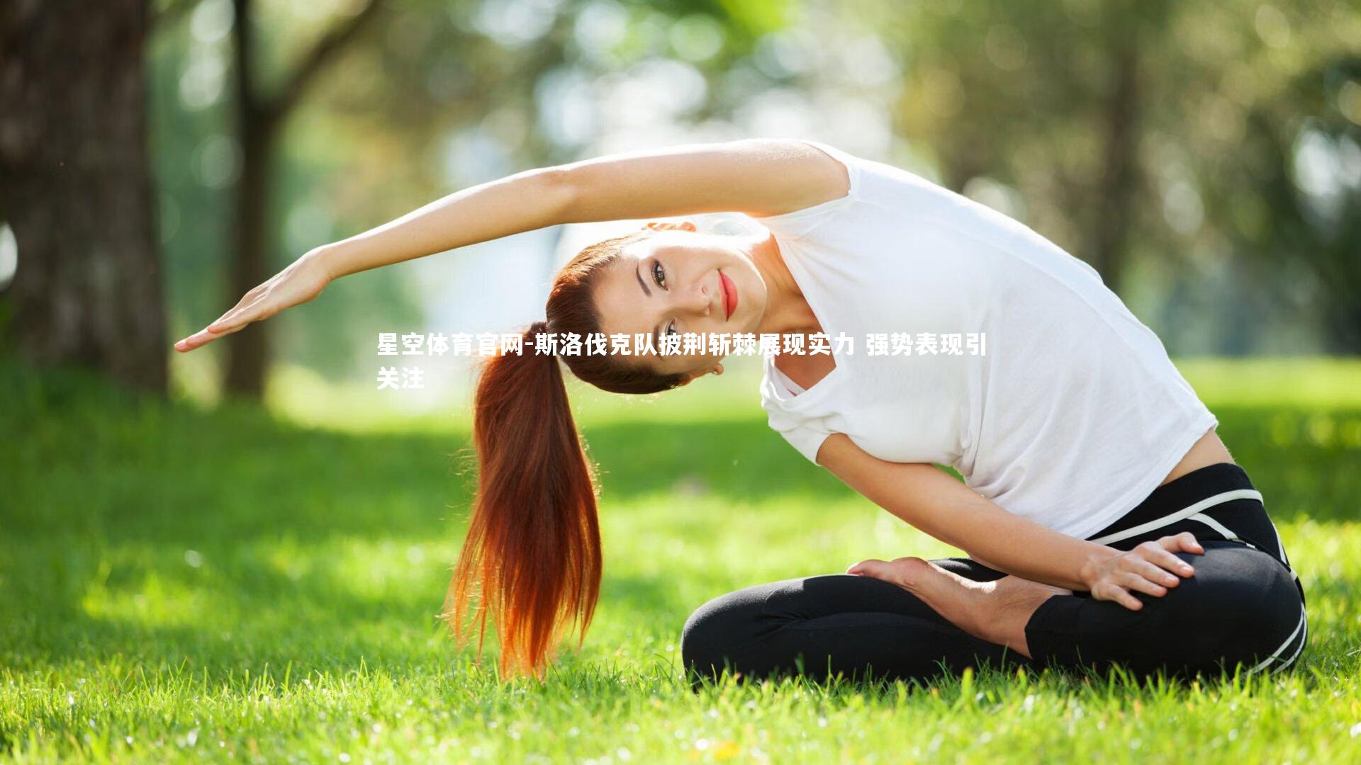 斯洛伐克队披荆斩棘展现实力 强势表现引关注