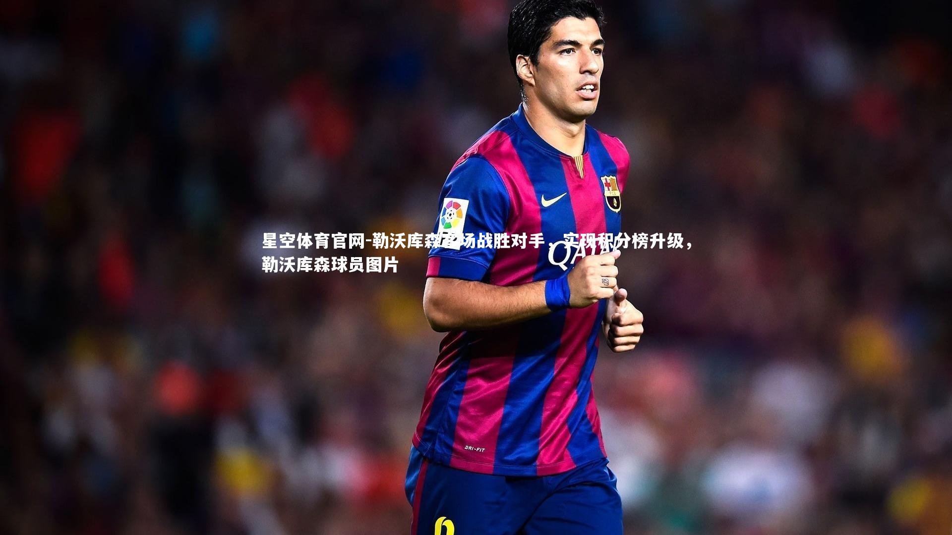 勒沃库森客场战胜对手，实现积分榜升级，勒沃库森球员图片