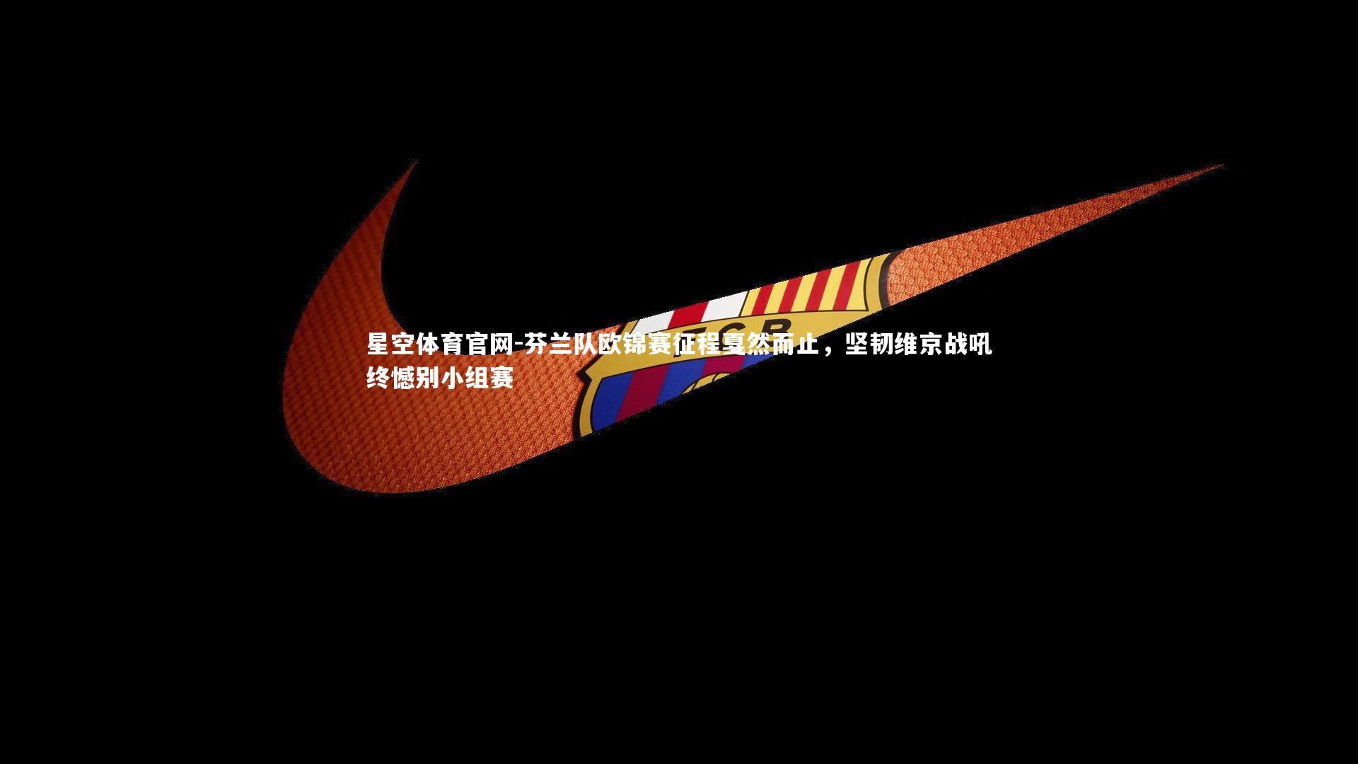 芬兰队欧锦赛征程戛然而止,坚韧维京战吼终憾别小组赛