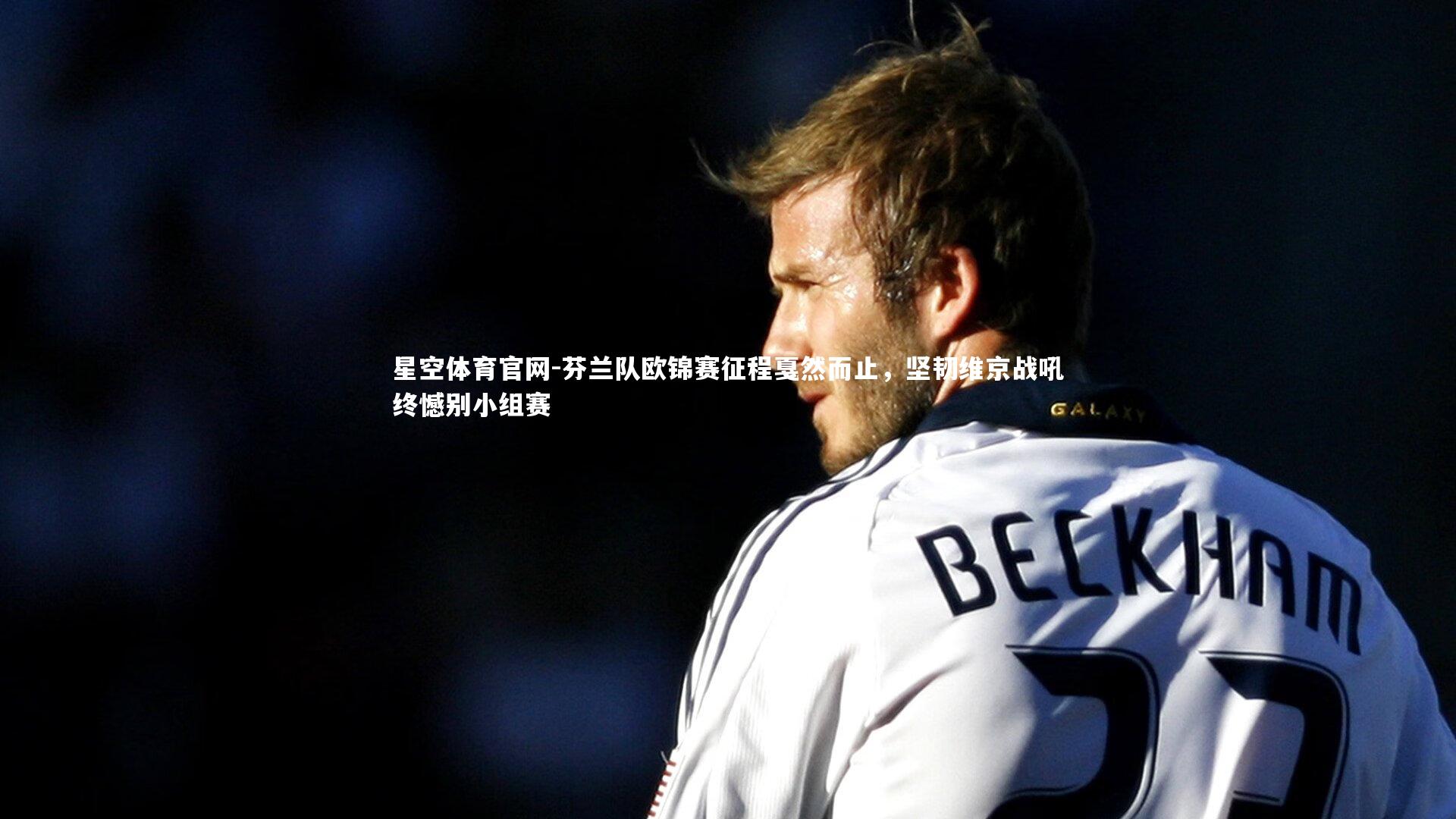 芬兰队欧锦赛征程戛然而止,坚韧维京战吼终憾别小组赛